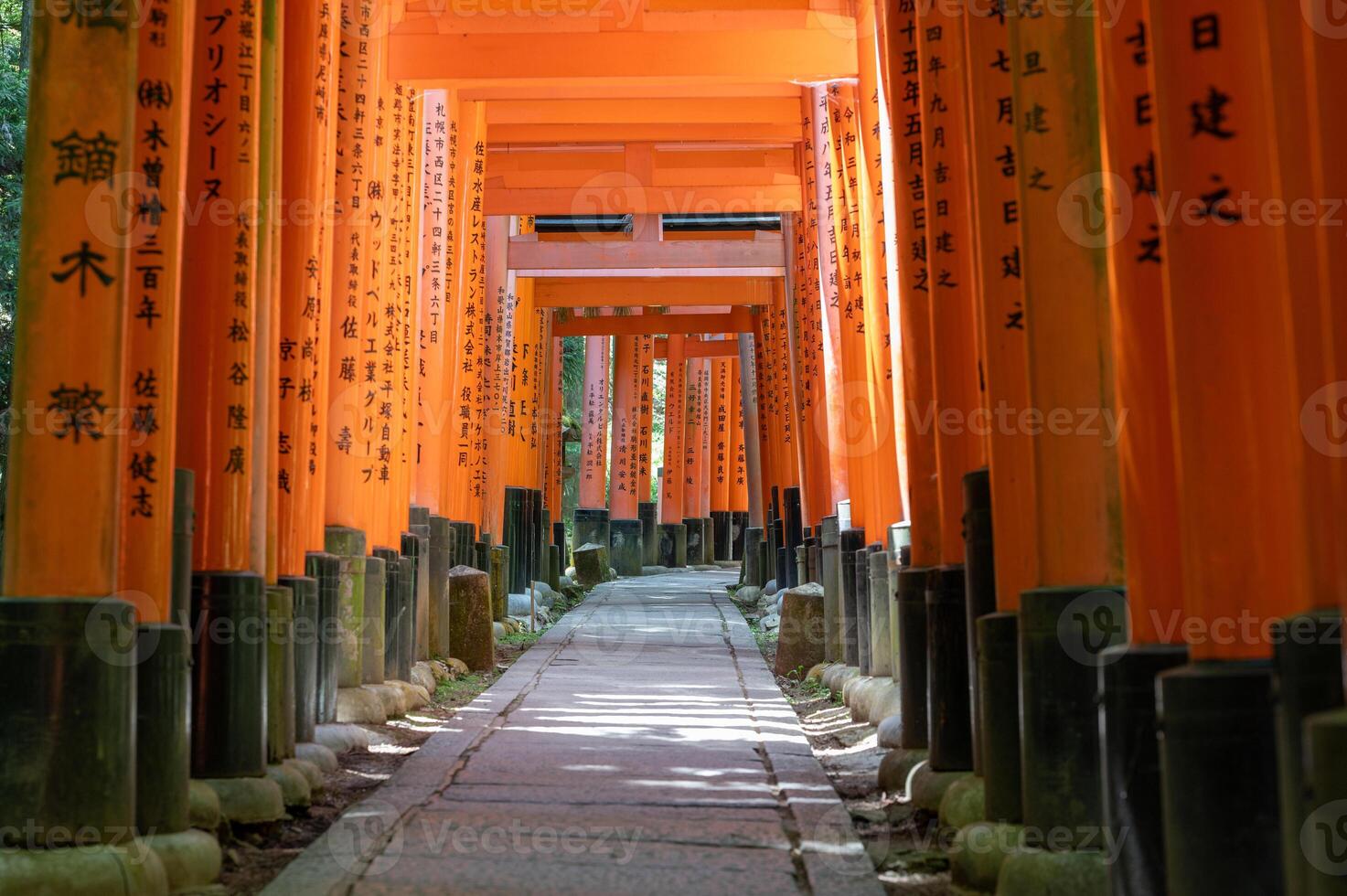 The Shrine of the Thousand Torii Gates. Fushimi Inari Shrine. It is famous for its thousands of vermilion torii gates. Japan photo