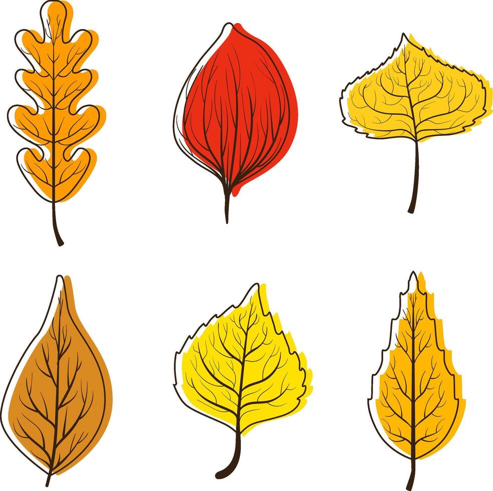 Collection of Bright Colorful Autumn Leaves from Different Kind Forest Trees Illustration vector