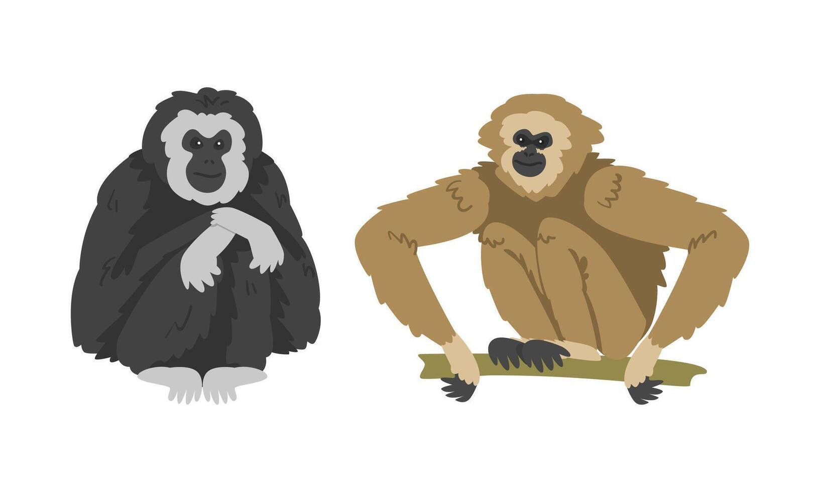 Pileated Gibbon Monkey as Ape with Black Shaggy Fur Set vector
