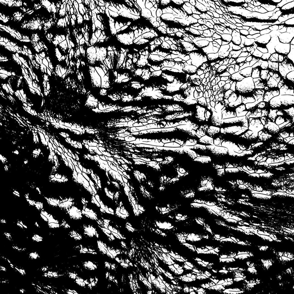 Detailed grunge pattern with weathered surface vector