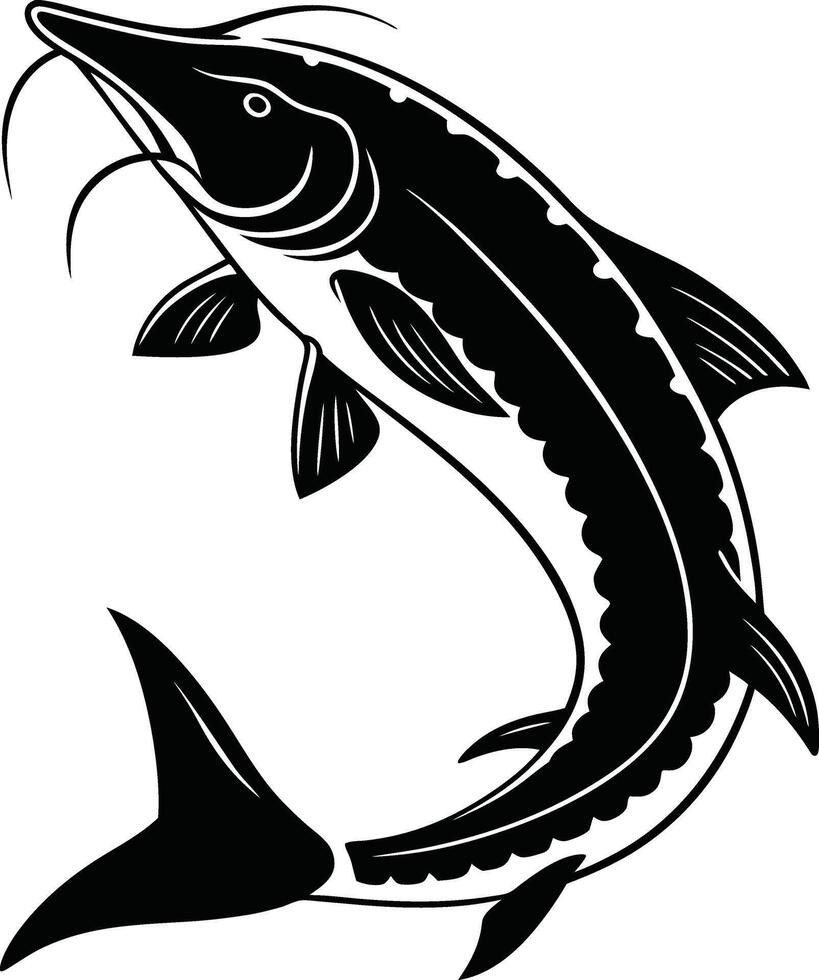 Sturgeon Fish Illustration vector
