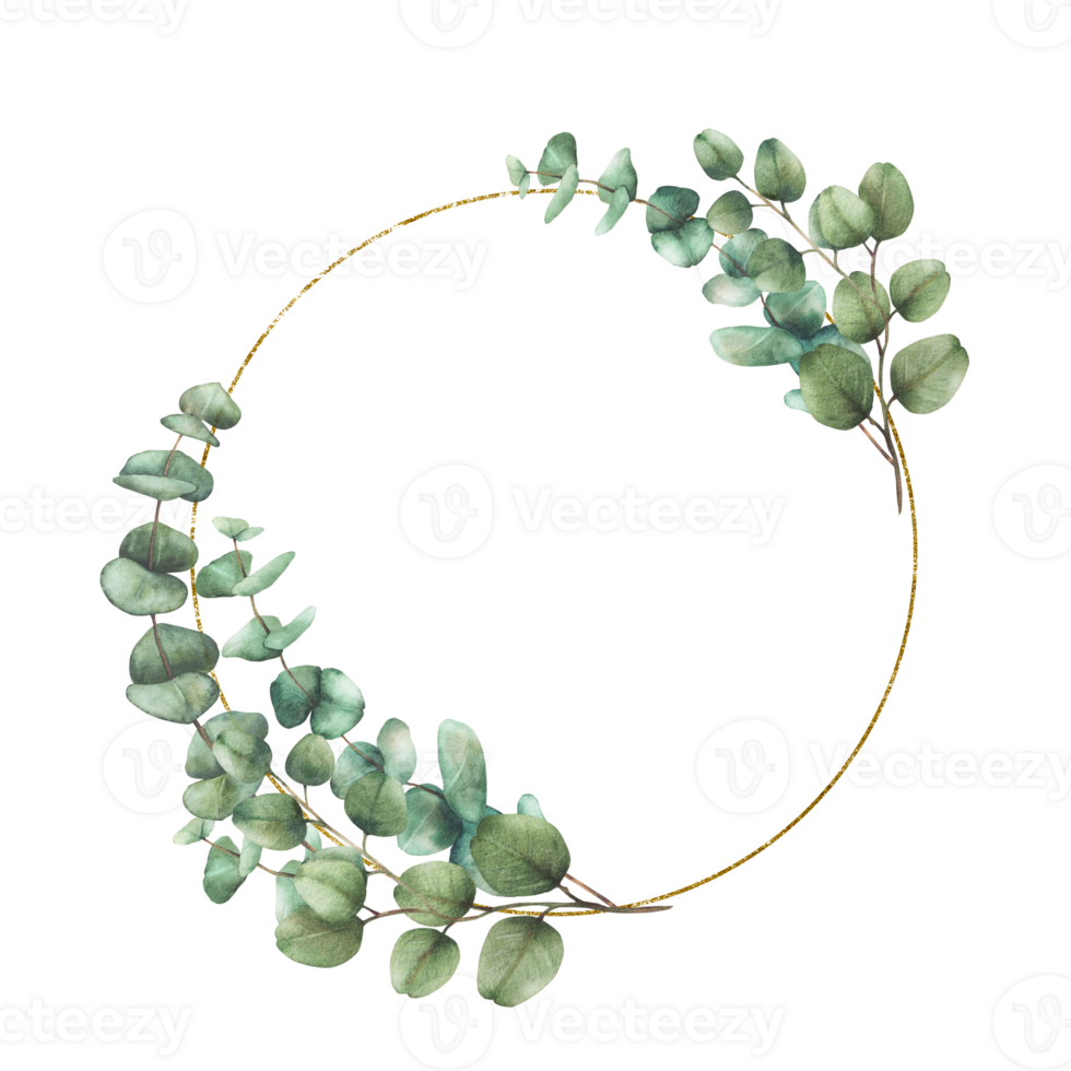 Eucalyptus leaves and branches in circular golden frame. Watercolor hand drawn Silver dollar plant wreath illustration. Round template for wedding invitations, greeting cards. Isolated from background png
