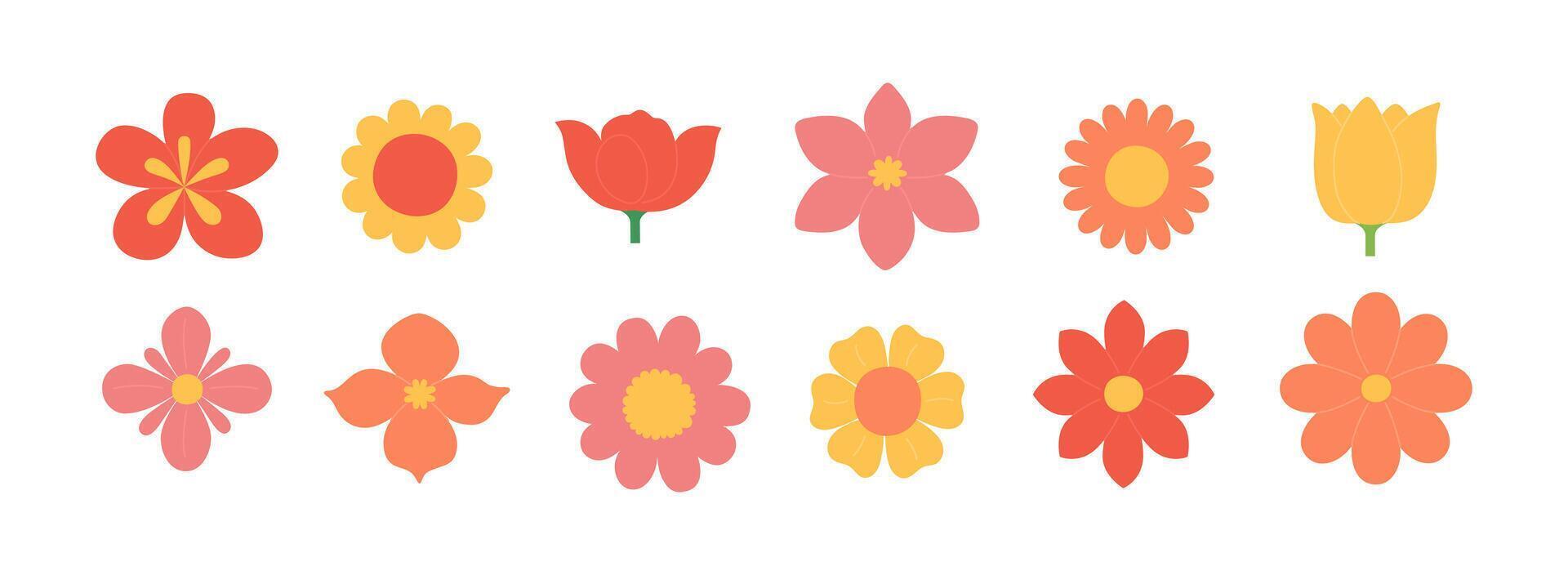 Set of different colorful abstract flowers in red, yellow, orange and pink colors. Spring or summer collection. Blooming season. Flat illustration isolated on white background vector