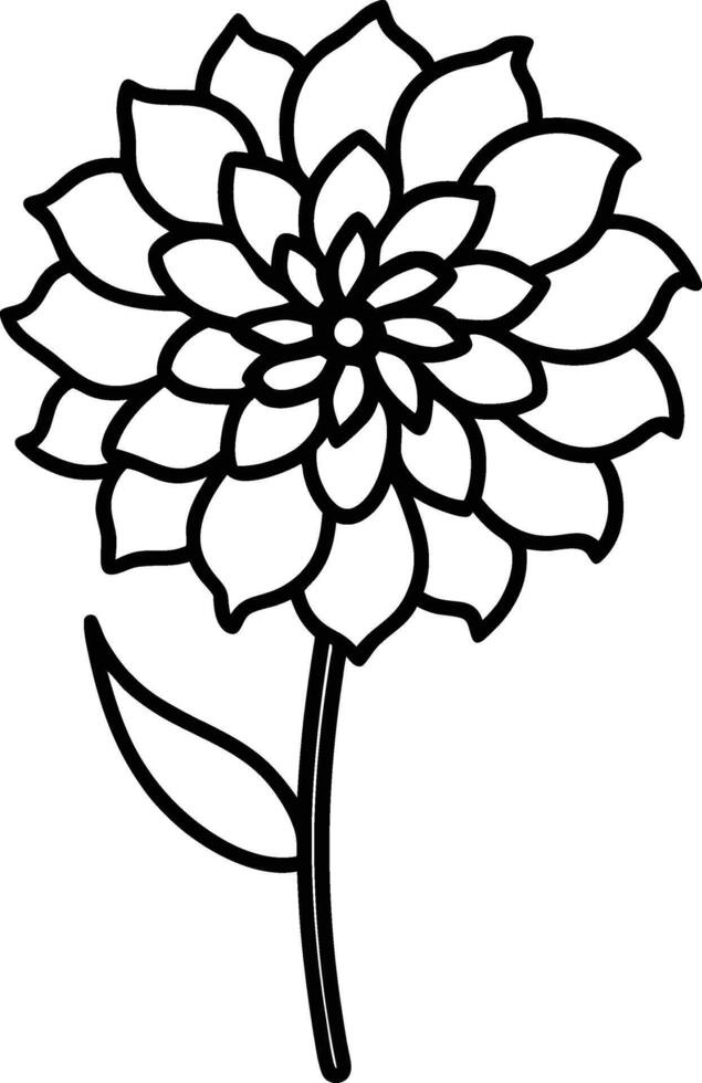 Zinnia flower bold line art illustration vector