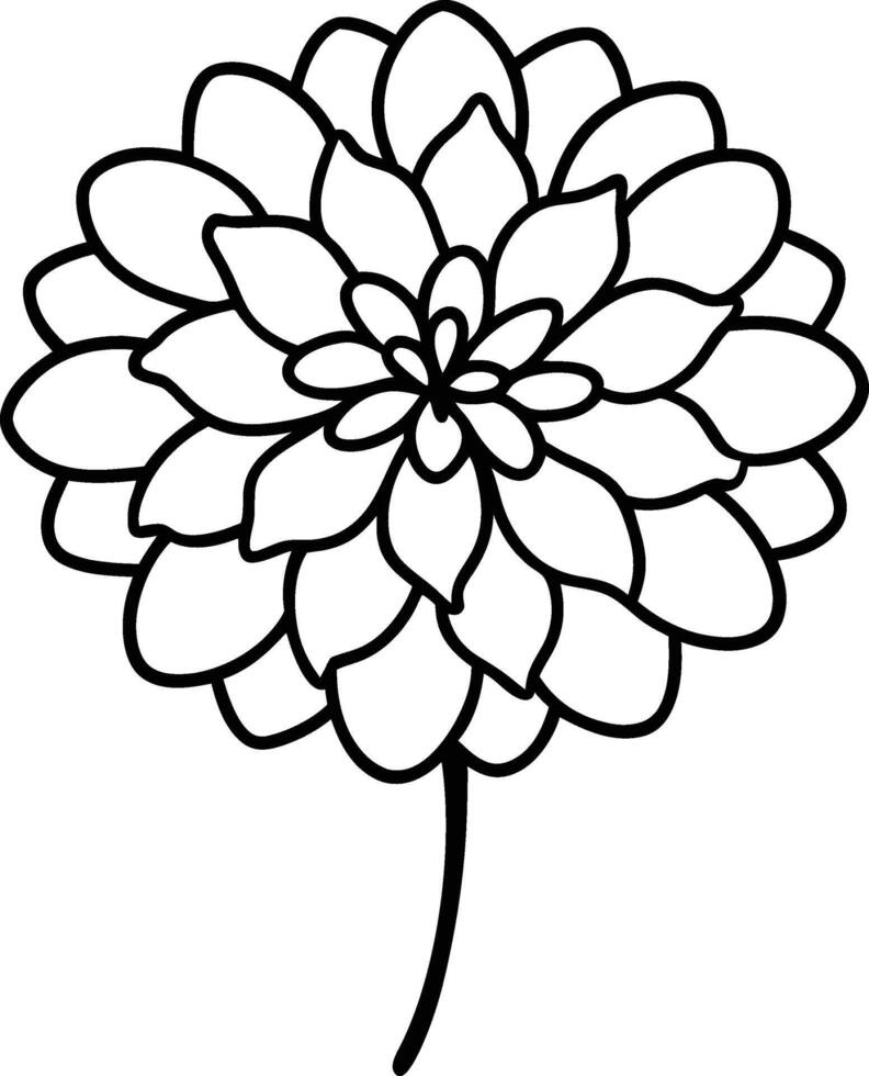 Beautiful Zinnia flower bold line art illustration vector