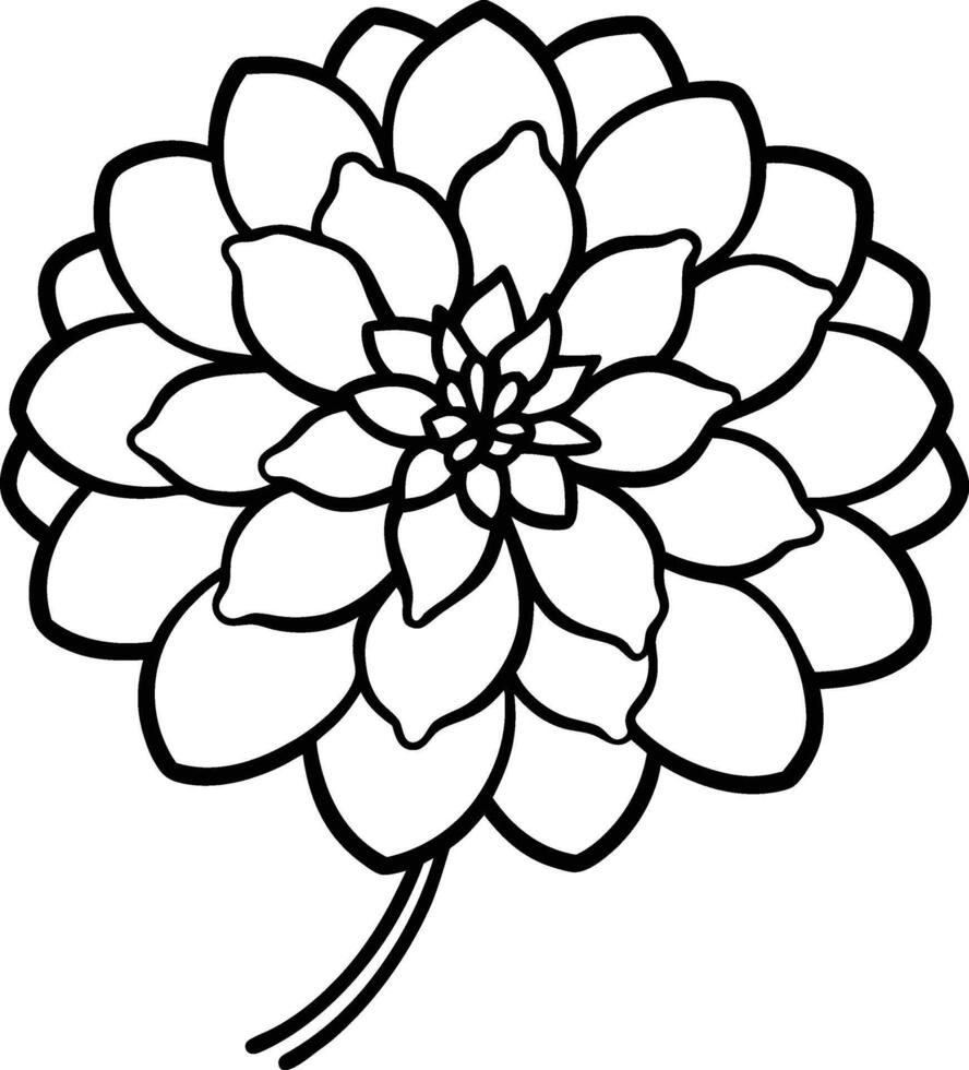 Coloring page Zinnia flower bold line art illustration vector