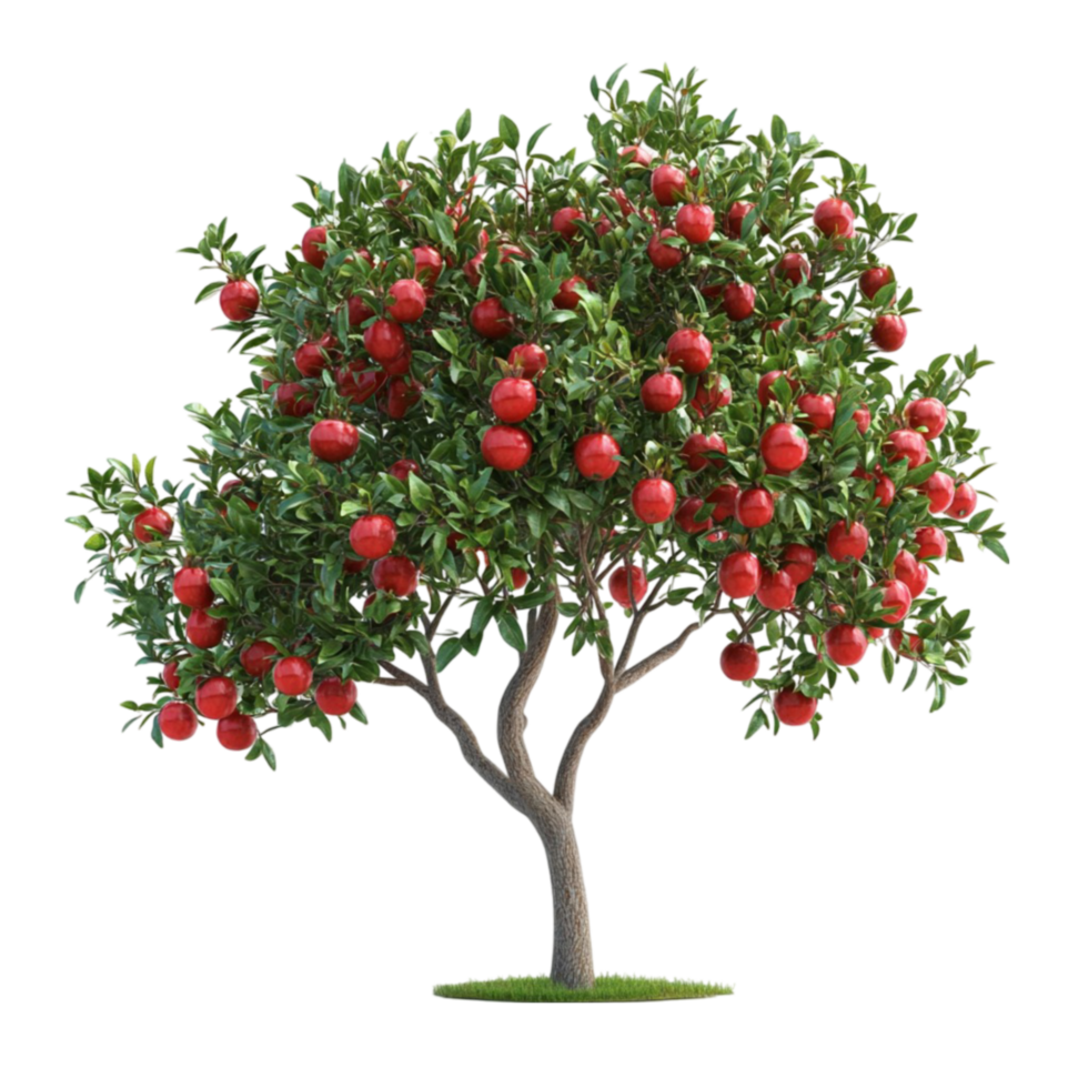 Ripe Red Apples on a Flourishing Apple Tree png