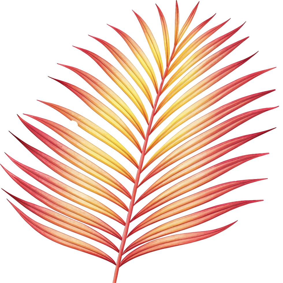 Single Palm Frond Illustration Warm Color Palette Tropical Botanical Design Element png