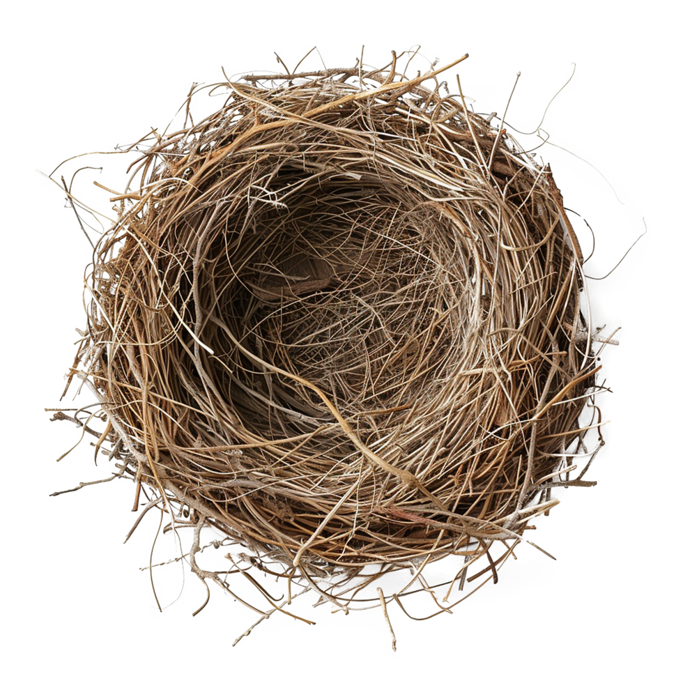 Empty birds nest home png
