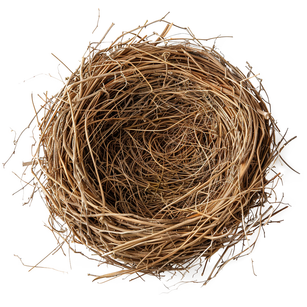 Empty birds nest twigs brown home png