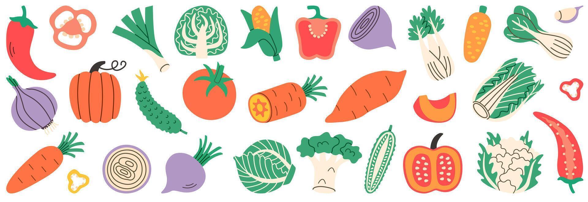 Flat illustration set of various vegetables including peppers, carrots, onions, cabbage, tomatoes, and more, ideal for healthy eating, cooking projects, and fresh food designs. vector