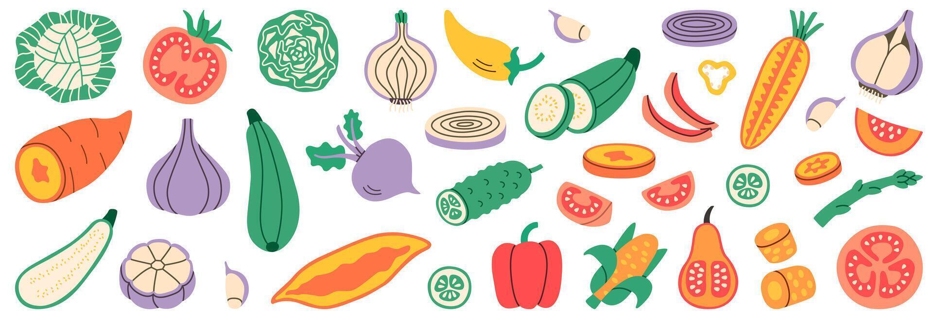 Flat illustration set of vegetables including tomatoes, carrots, onions, peppers, cabbage, zucchini, and more, perfect for healthy eating, cooking projects, and fresh food designs. vector