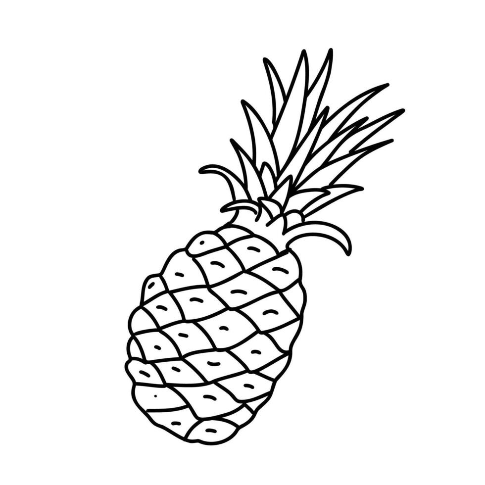 Pineapple Fruits. Hand drawn Black outline in Doodle style isolated on a background. For product packaging, menu, logos. vector