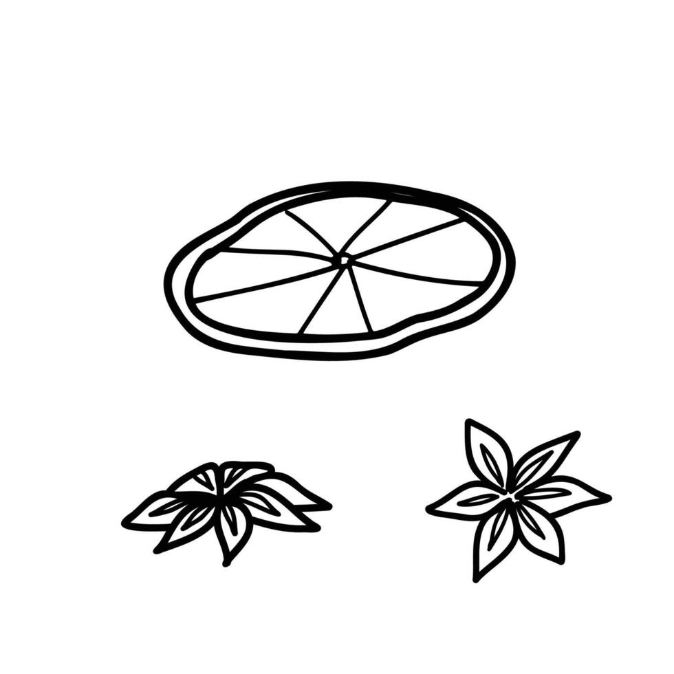 Dried Orange Slice and Anise stars set. Hand drawn sketch illustration in doodle style. For Packaging, Christmas, New Year and Winter designs. vector