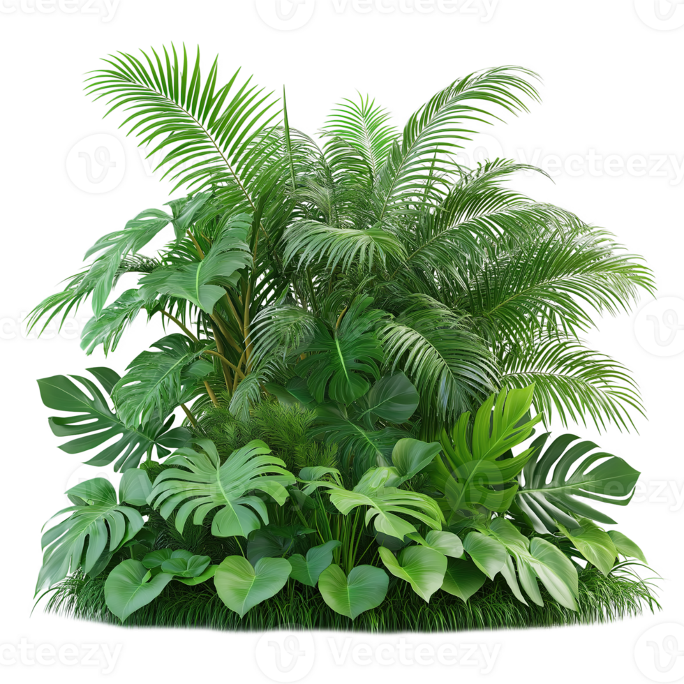 Vibrant Tropical Plant Bush, Lush Greenery on Transparent Background png
