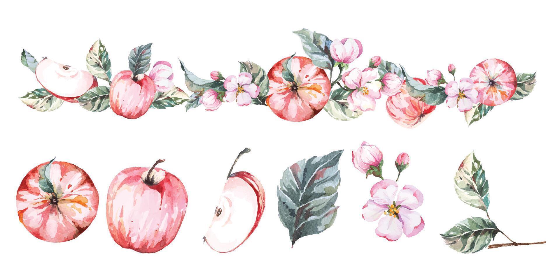 Apple border.Fruit border.Botanical floral rim, for cards, wedding or fabric.With watercolor. vector