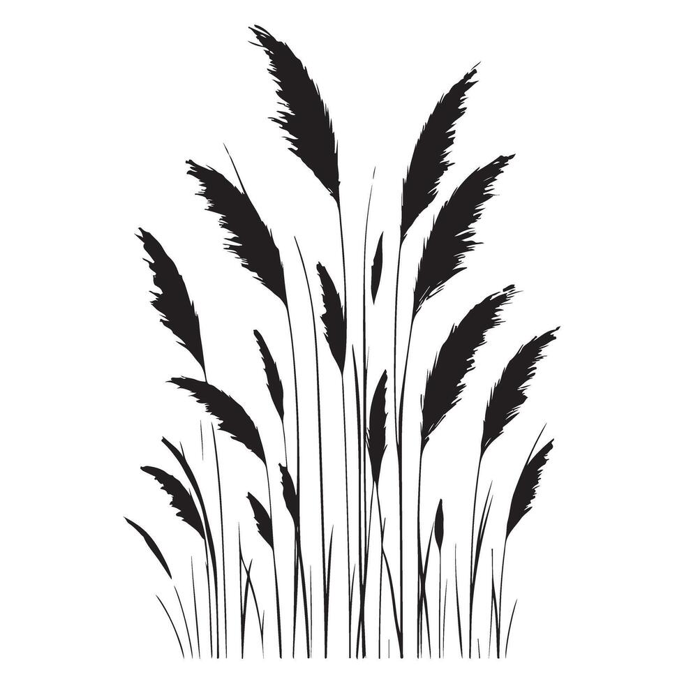 Silhouette Illustration of Tall Grasses Swaying Gently in the Breeze vector