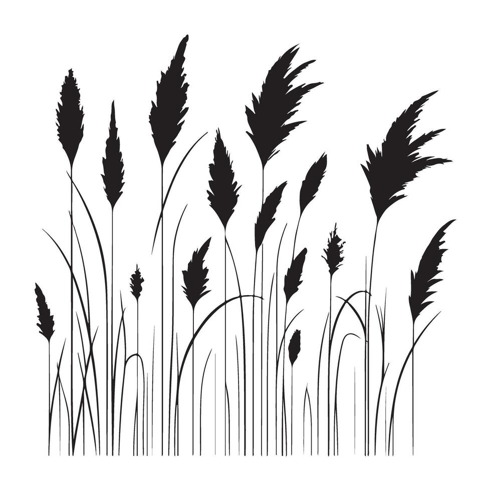 Silhouette of Tall Grass Illustration vector