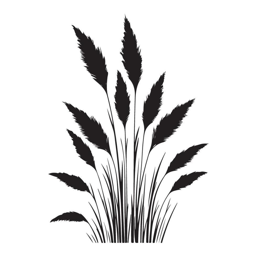 Detailed Silhouette of Pampas Grass Meadow Art vector