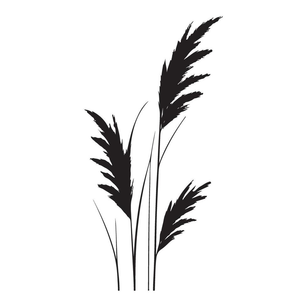 Wild Grass Silhouette Graphic Design vector