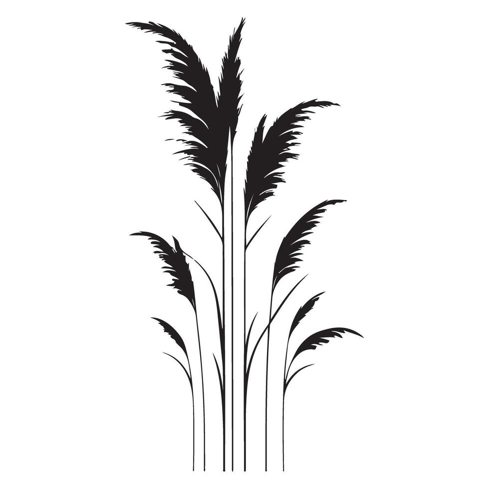 Elegant Pampas Grass Silhouette for Decorative Designs vector