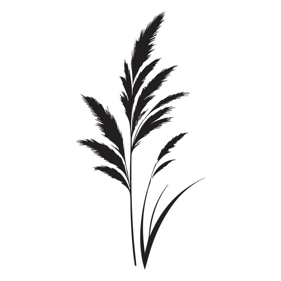 Ornamental Grass Silhouette Illustration art vector