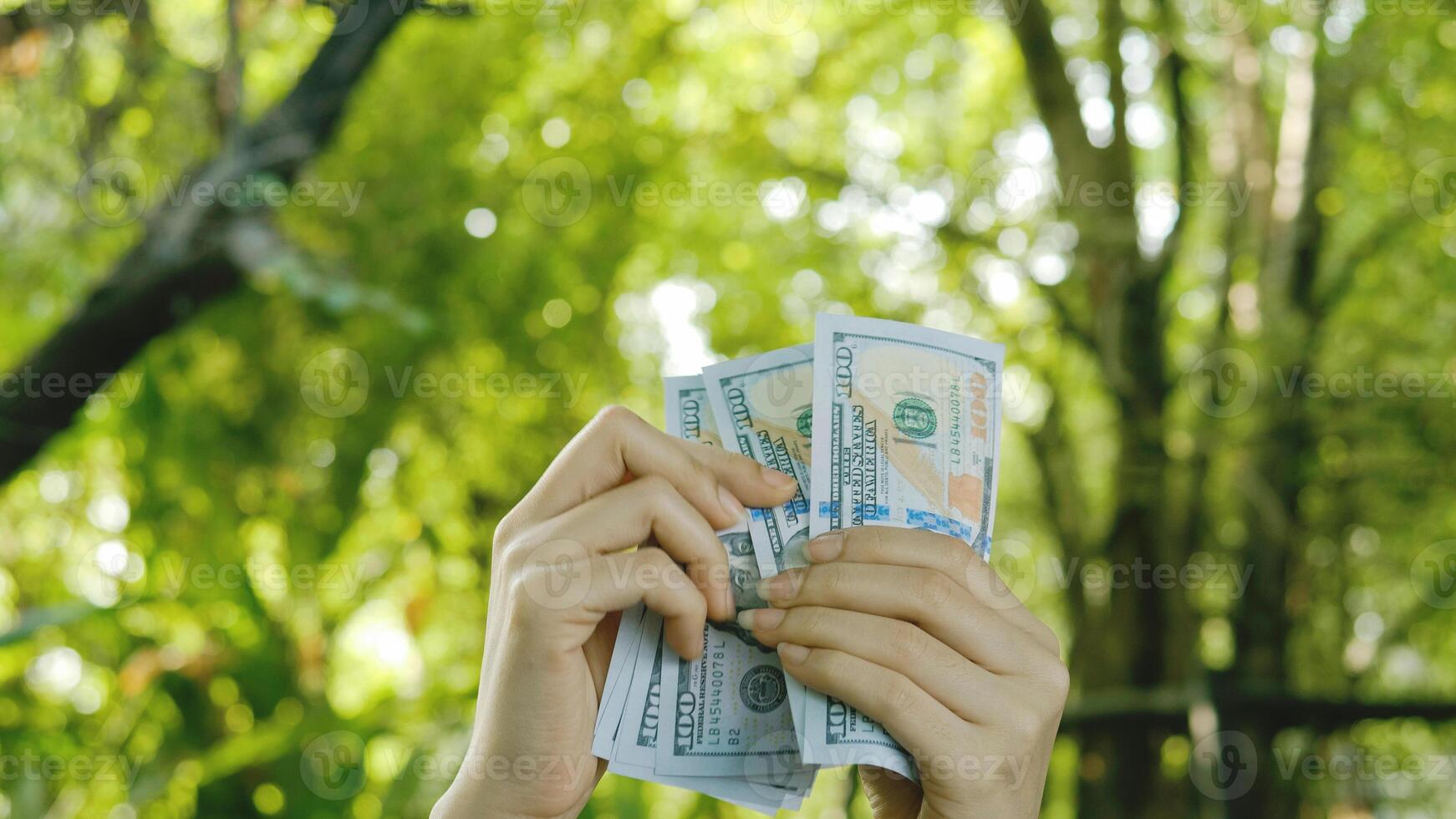 Dollar Currency, Income from Earning Money, Income photo
