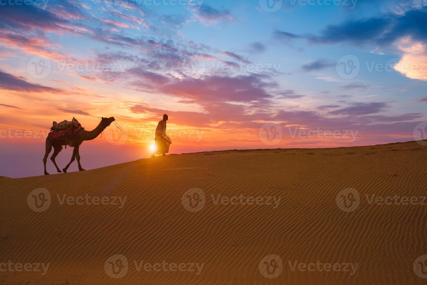 Indian cameleer camel driver camel silhouettes in dunes on sunset. Jaisalmer, Rajasthan, India photo