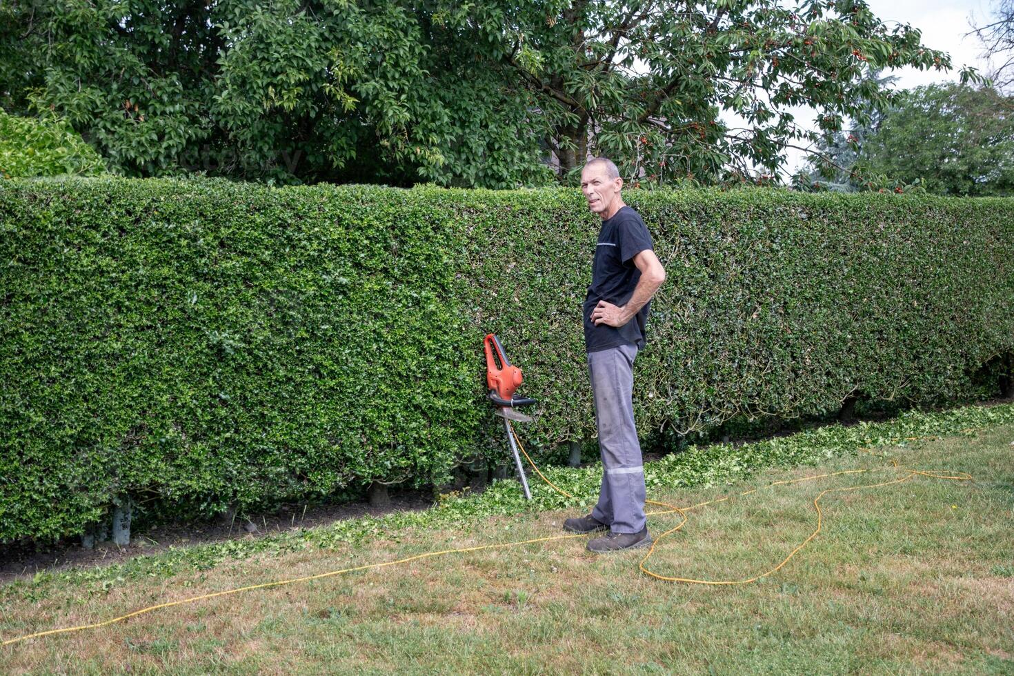 man standing in front of hedge trimmer stopped during work, gardener trimming hedge with electric hedge trimmer, photo