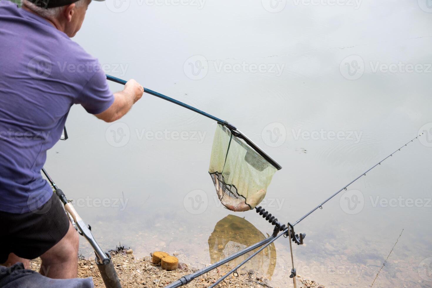 Successful catch of bream in a pond, A happy fisherman with a trophy is engaged in sport fishing, after catching the fish the man takes it out with a net, photo