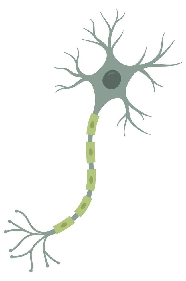 Illustration of green neuron. Nerve cell vector