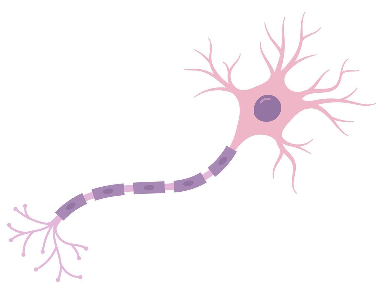 Illustration of pink neuron. Nerve cell vector