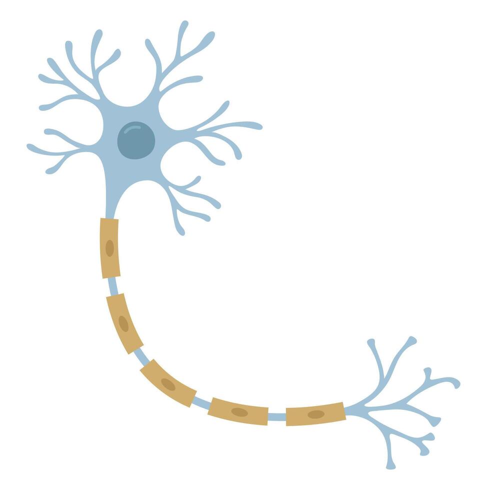 Flat Illustration of neuron. Nerve cell vector