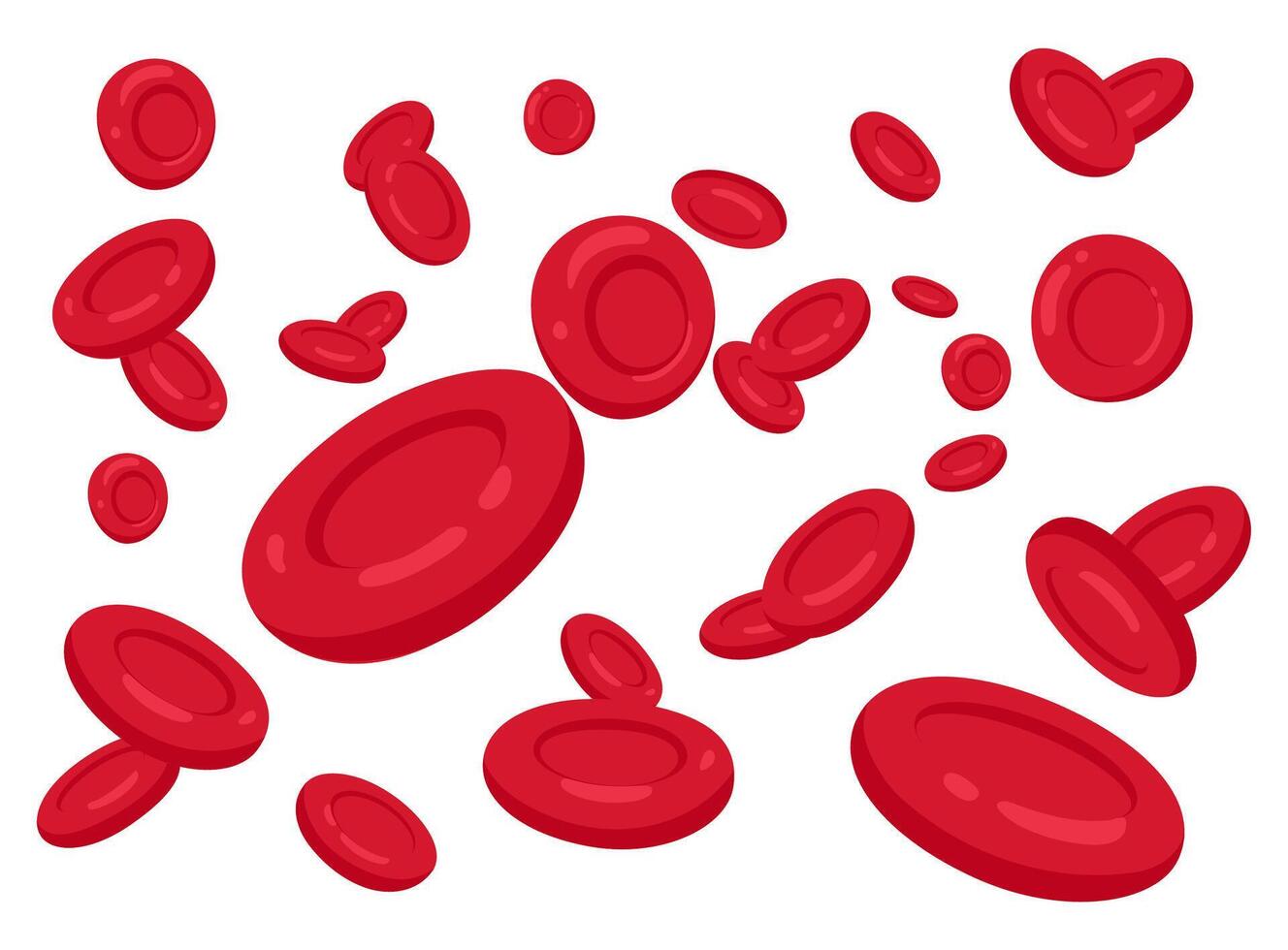 illustration of flowing erythrocytes red blood cells on white background vector