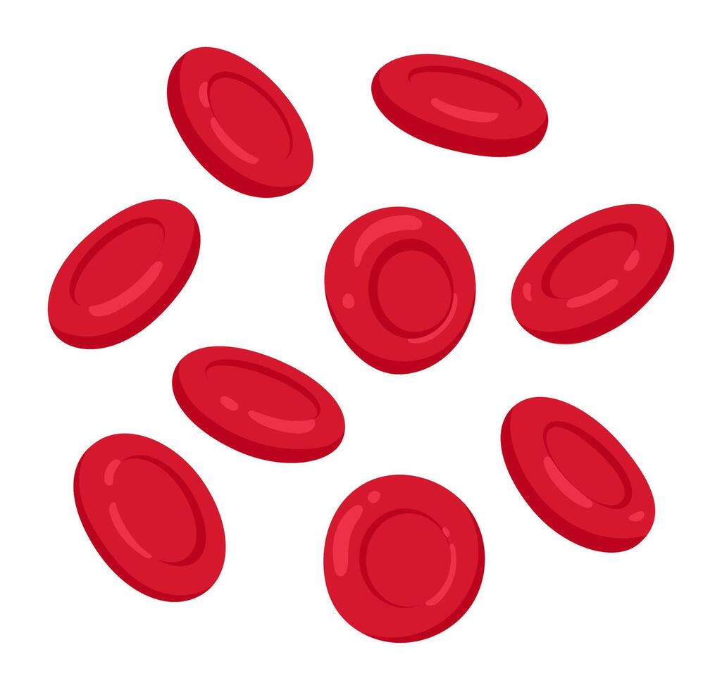Illustration of flowing red blood cells on white background vector