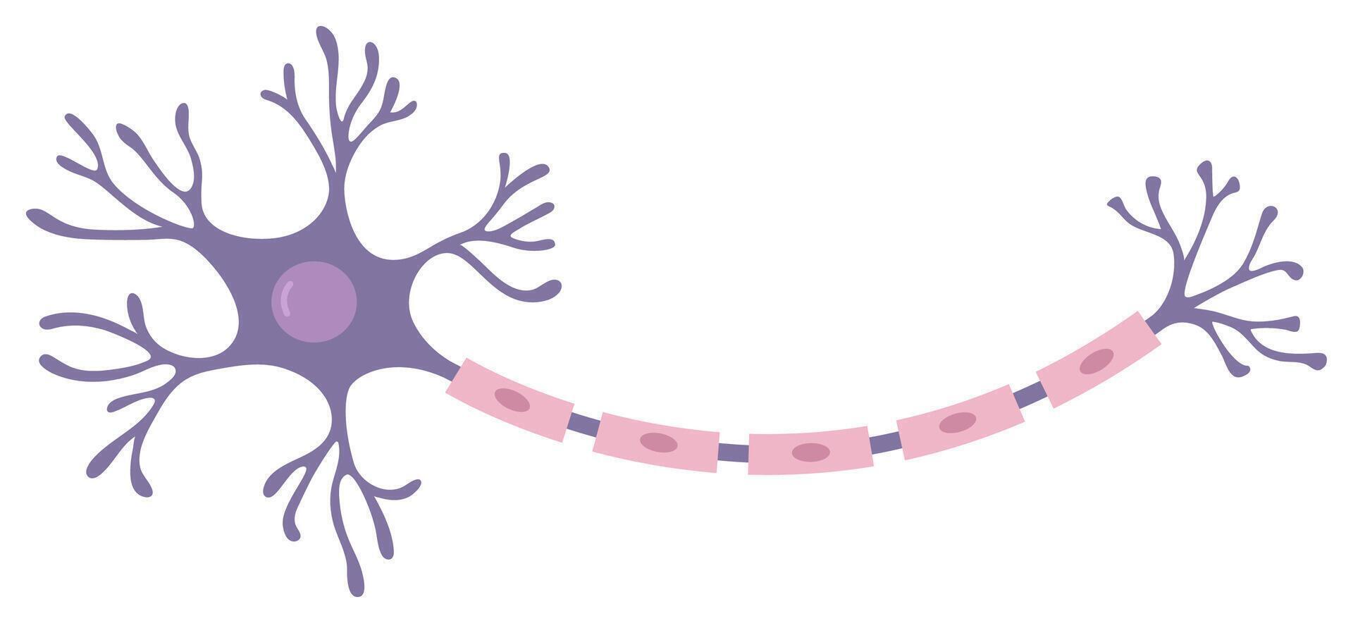 Illustration of violet neuron. Nerve cell vector