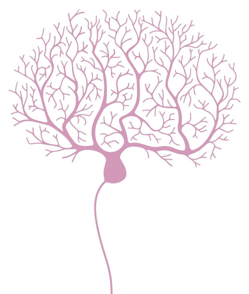 Purkinje neuron. Scientific illustration vector