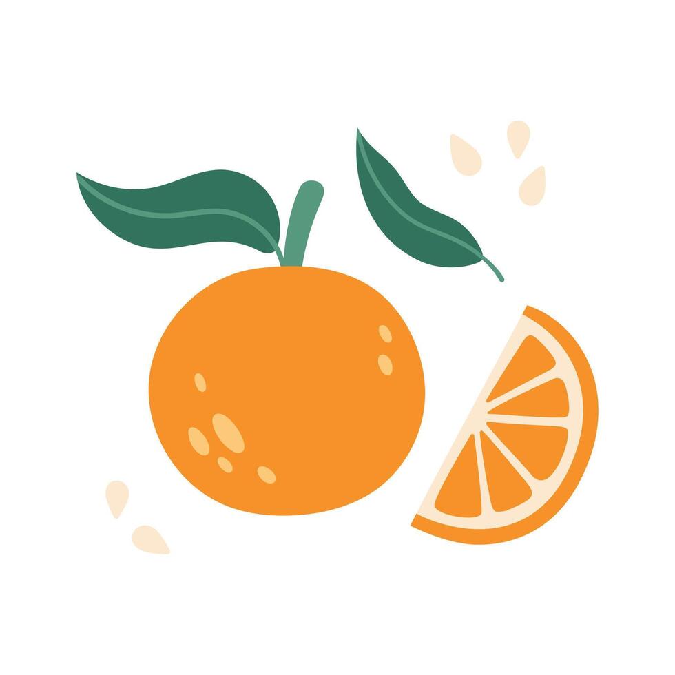 Orange illustration. Fruit illustration. Orange icon. Organic vitamins and healthy nutrition. Isolated Orange with green leaf, seeds. Flat design, doodle style. Graphic print for t-short. vector