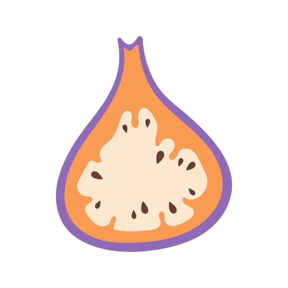 Cut Fig Fruit illustration. Fig icon. Organic vitamins and healthy nutrition. Isolated Figs. Flat design, doodle style. Graphic print for t-short. vector
