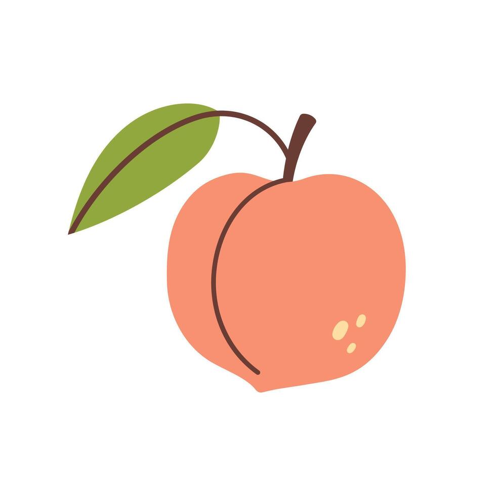 Peach Fruit illustration. Peach icon. Organic vitamins and healthy nutrition. Isolated Peach with green leaf. Flat design, doodle style. Graphic print for t-short. vector