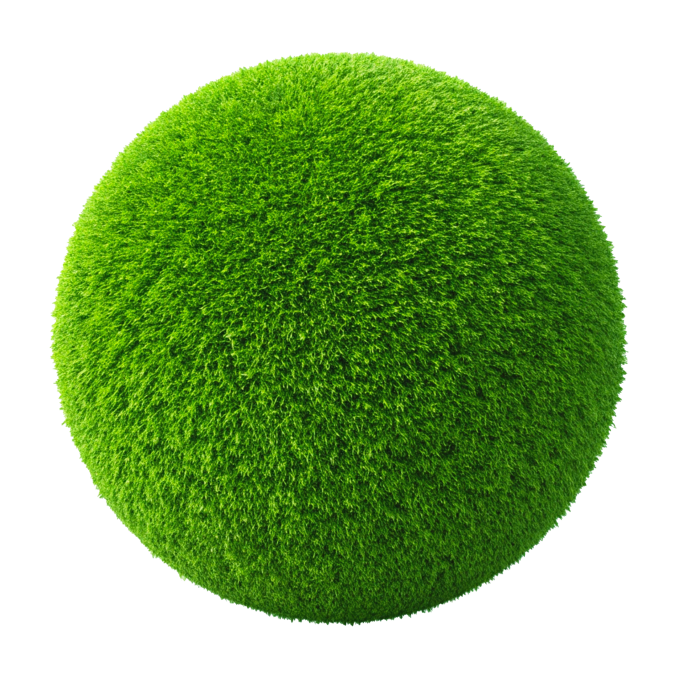 Vibrant Green Spherical Moss Ball with Fuzzy Texture png
