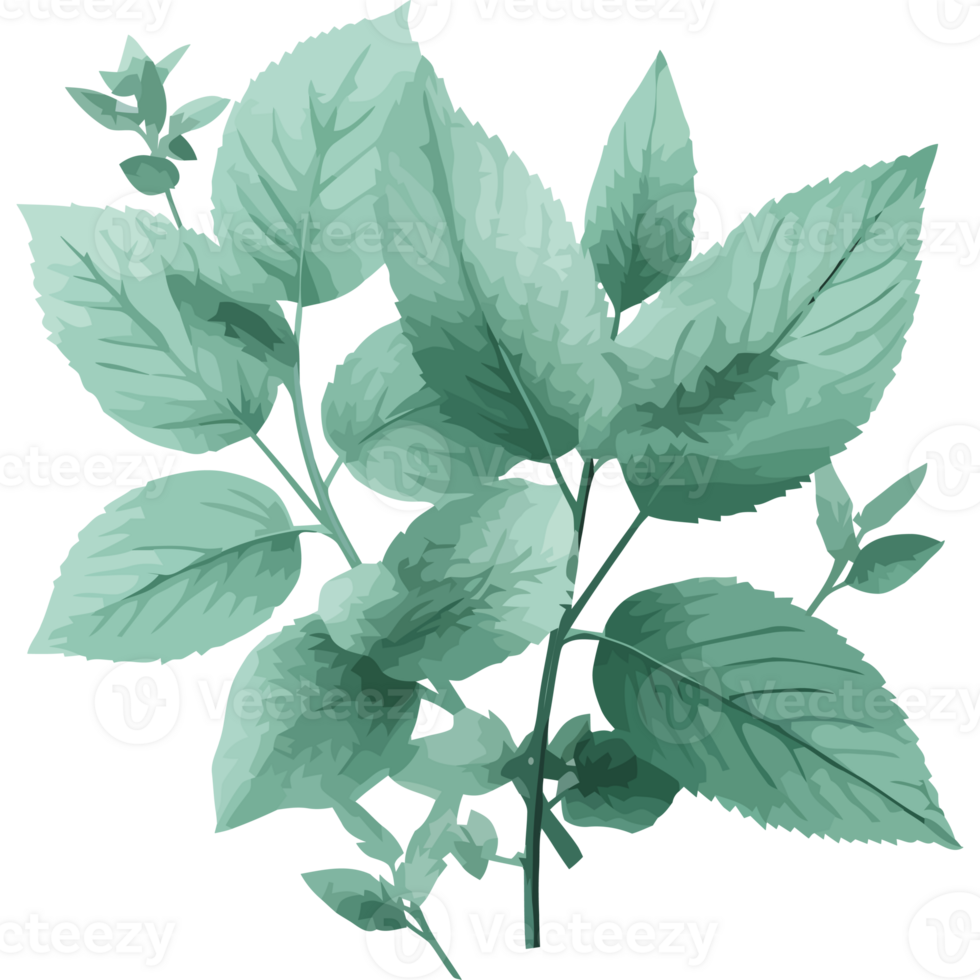 Fresh green leaves on tree branch icon isolated png