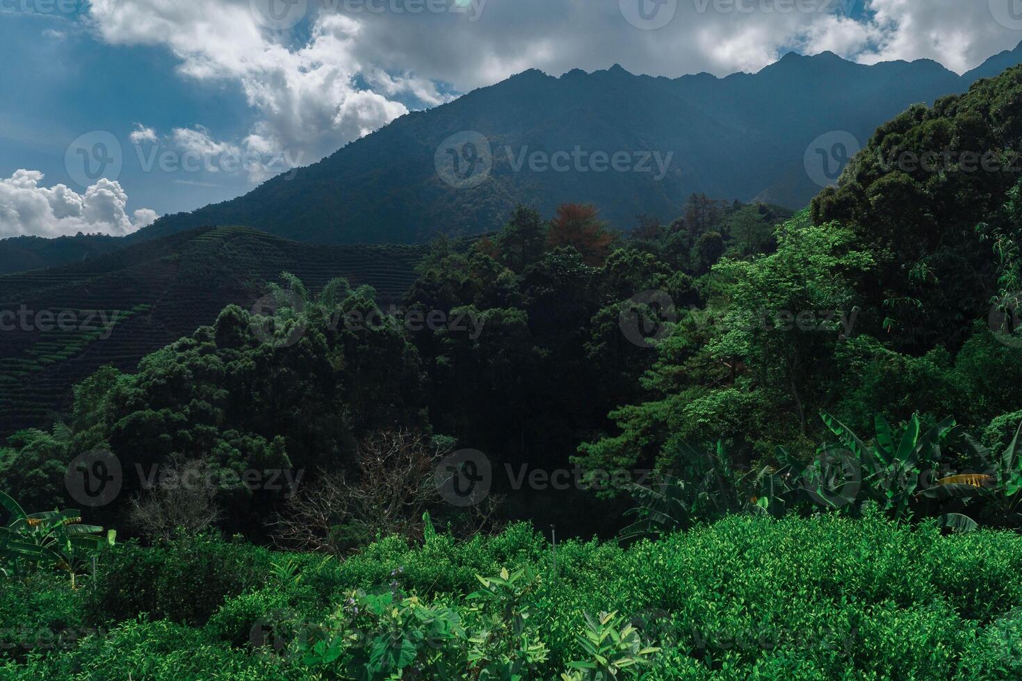 A Majestic Mountain Landscape That is Surrounded by Beautiful and Lush Greenery All Around photo