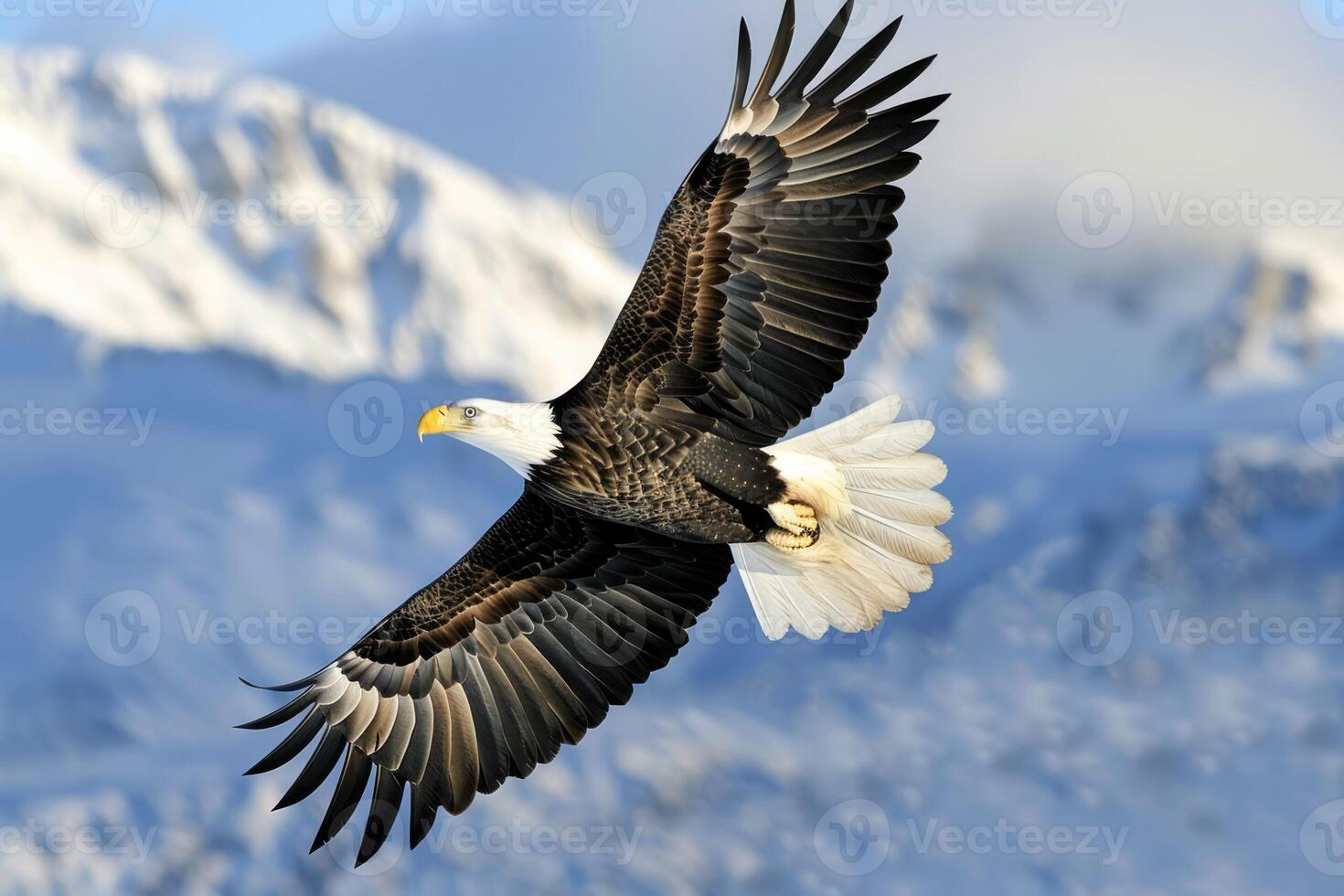 An American Bald Eagle soaring over a mountains in daytime. Neural network photo
