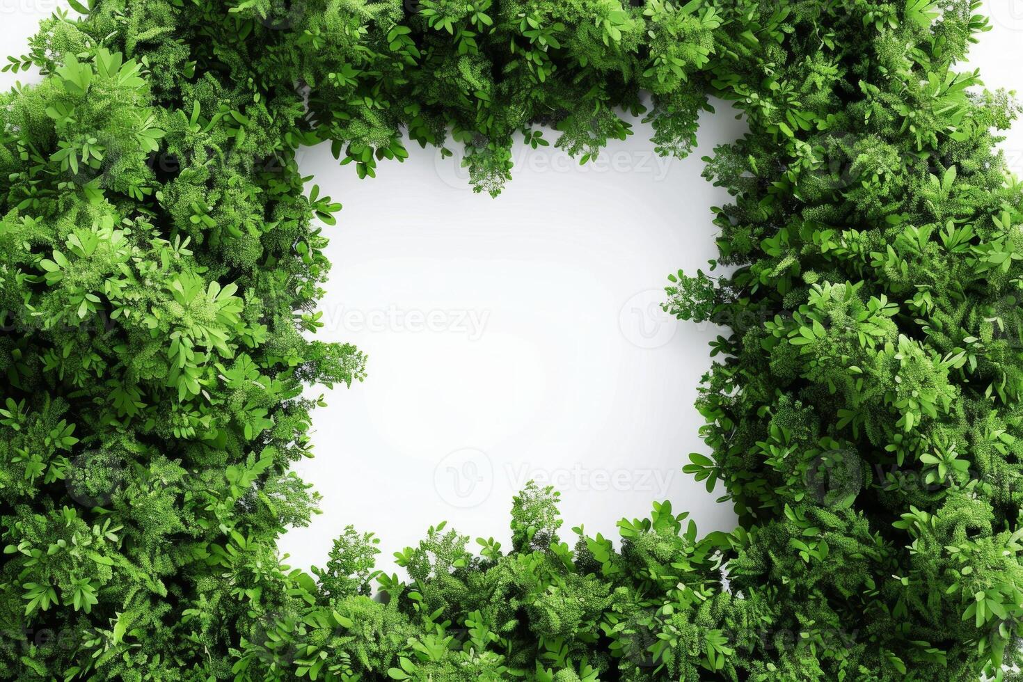 Tropical shrub bush fence tree isolated plant with clipping path. Neural network photo
