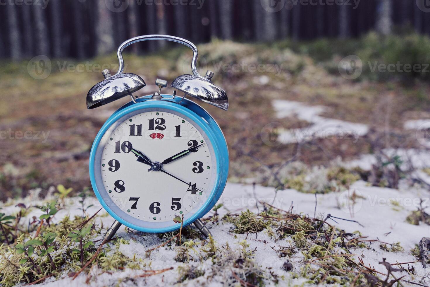 Vintage blue alarm clock on winter forest background photo
