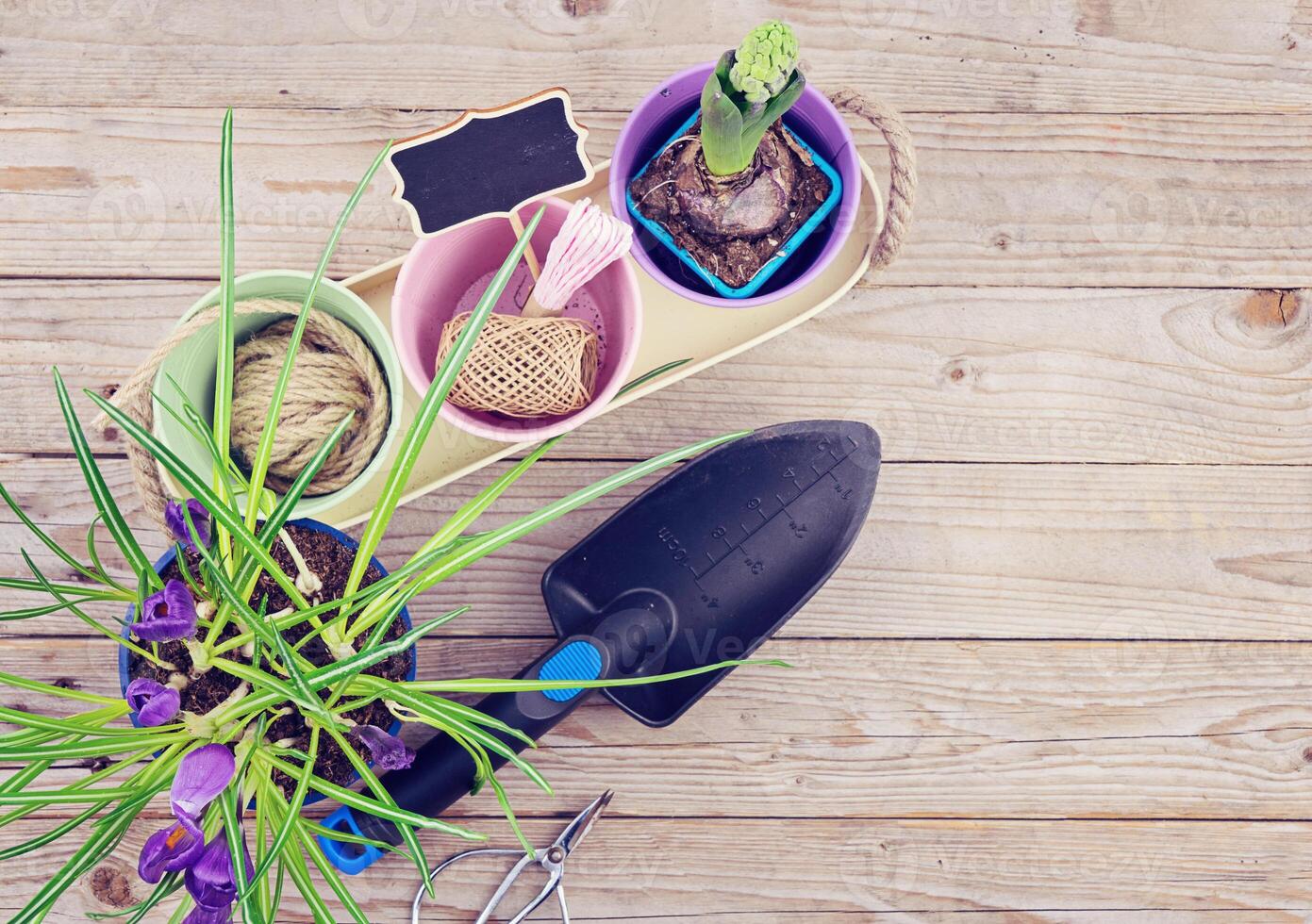 Gardening equipment with potted plants and trowel on wooden Background. Collection of gardening tools, potted plants, and spade on wooden surface. Gardening and planting concept, flat lay. photo