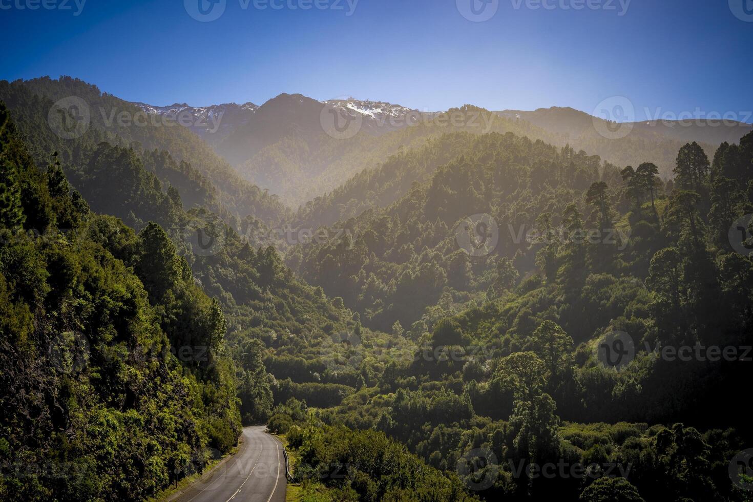 View on Pinar de Garafia from Pino de la Cruz del Castillo on the LP1 on La Palma, Canary Islands of Spain photo