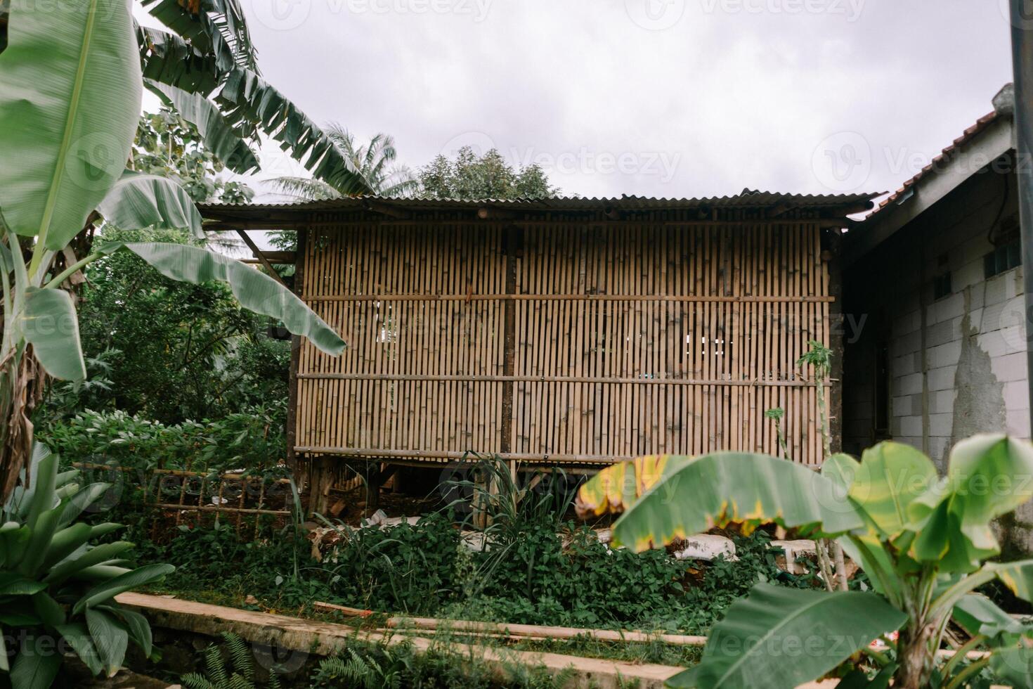 Bamboo House Garden photo