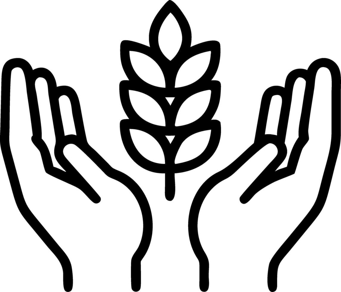 Close up of hands holding ripe grains in a field Set A vector